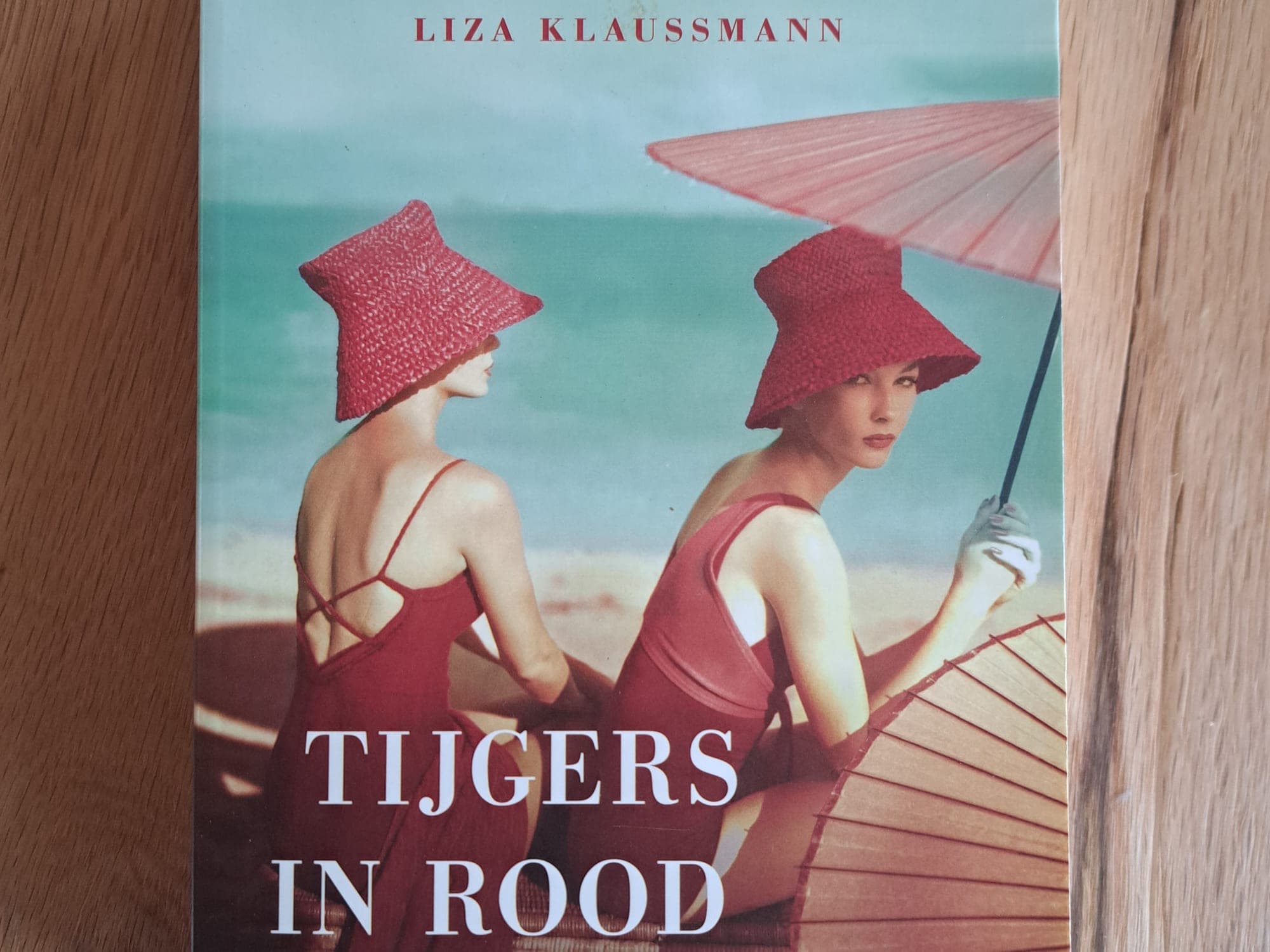 Tijgers in rood weer - Lisa Klaussmann