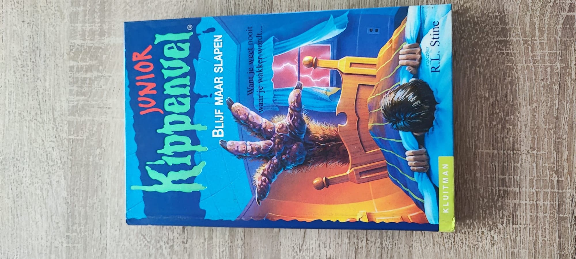 Kippenvel Junior Blijf Maar Slapen - R.L. Stine boek