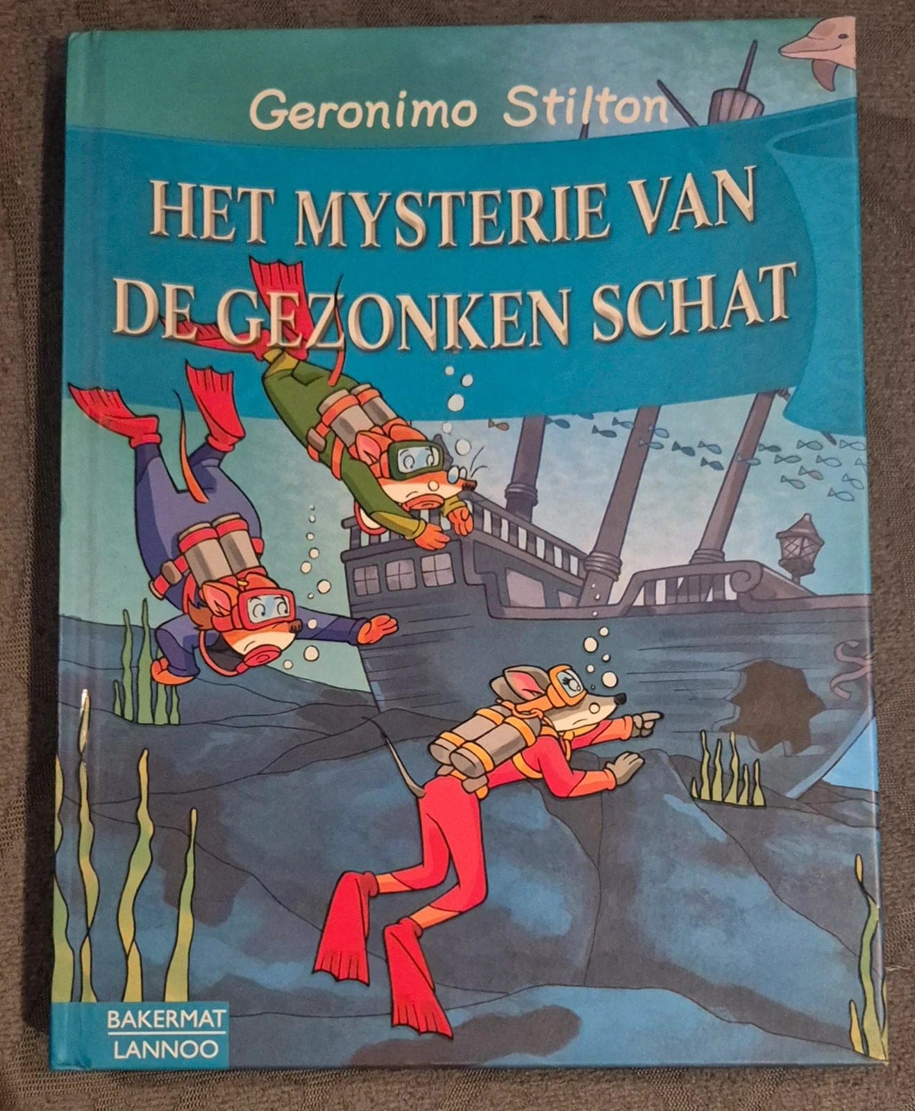 Leesboek - Gezonken schat