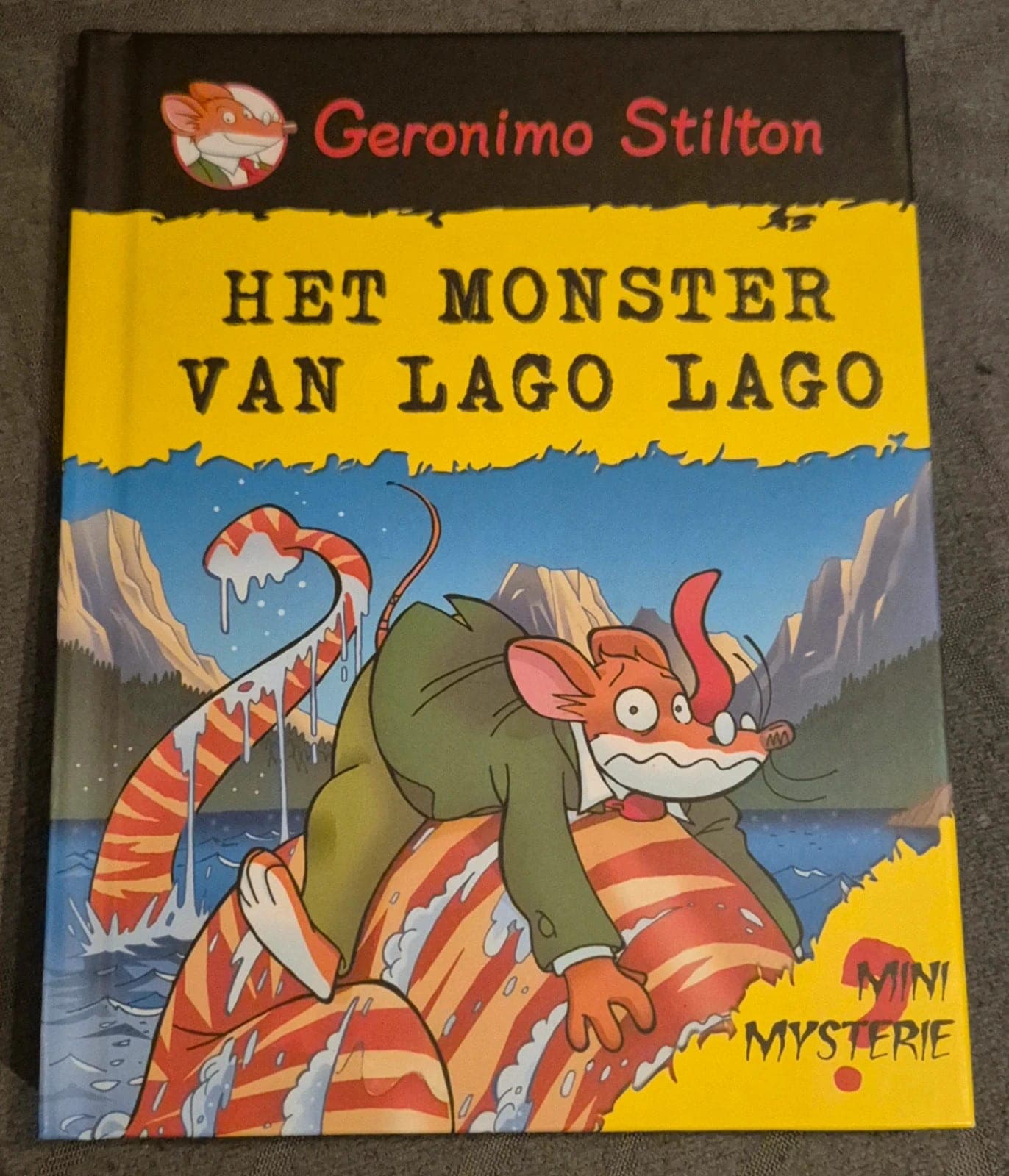 Mini Mysterie - Leesboek