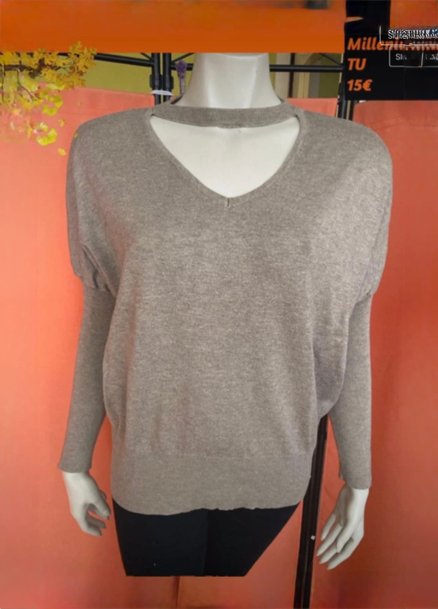 Beige trui met V-hals en vlindermouwen TU