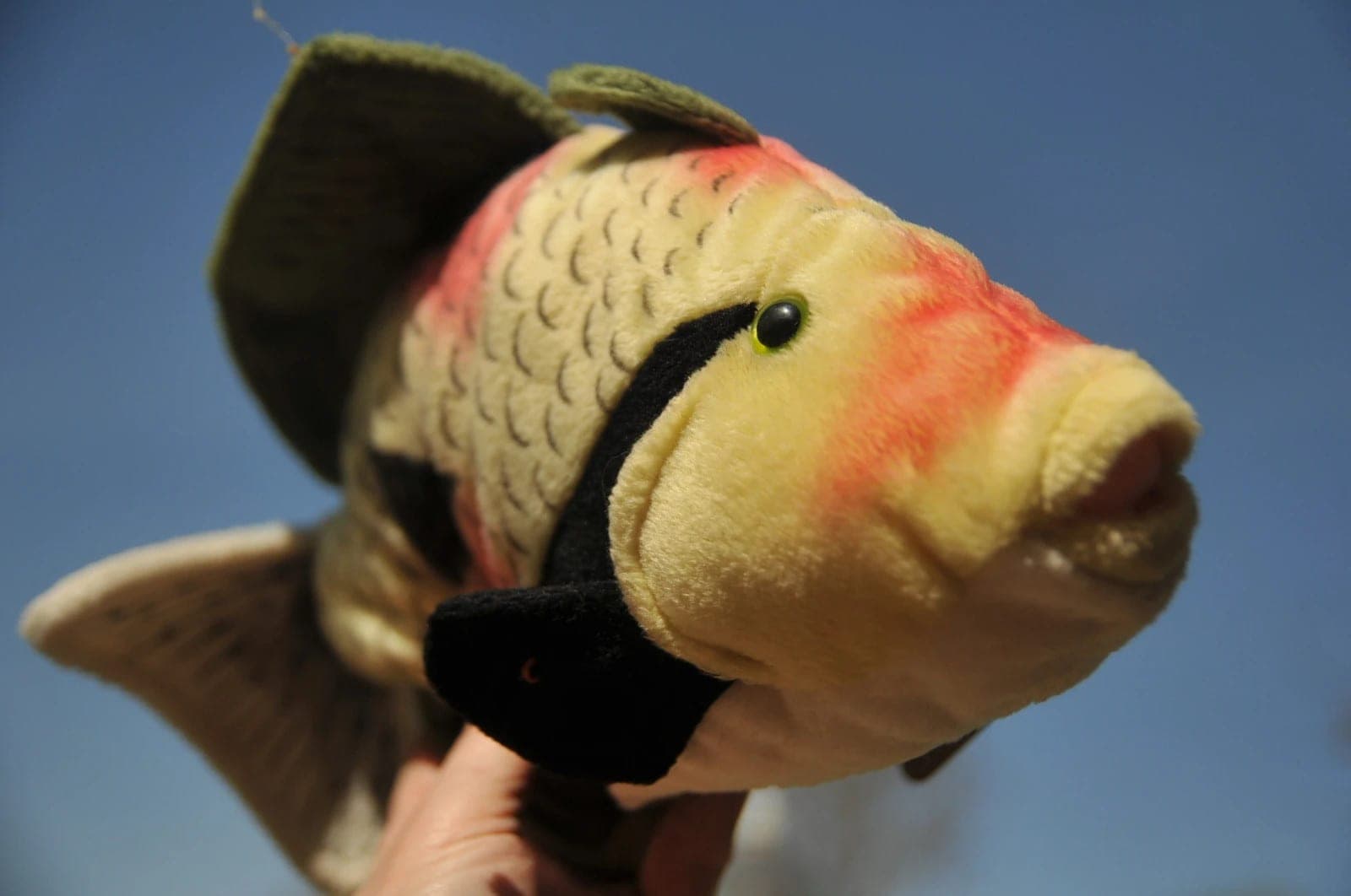 Tropische vis peluche van WWF