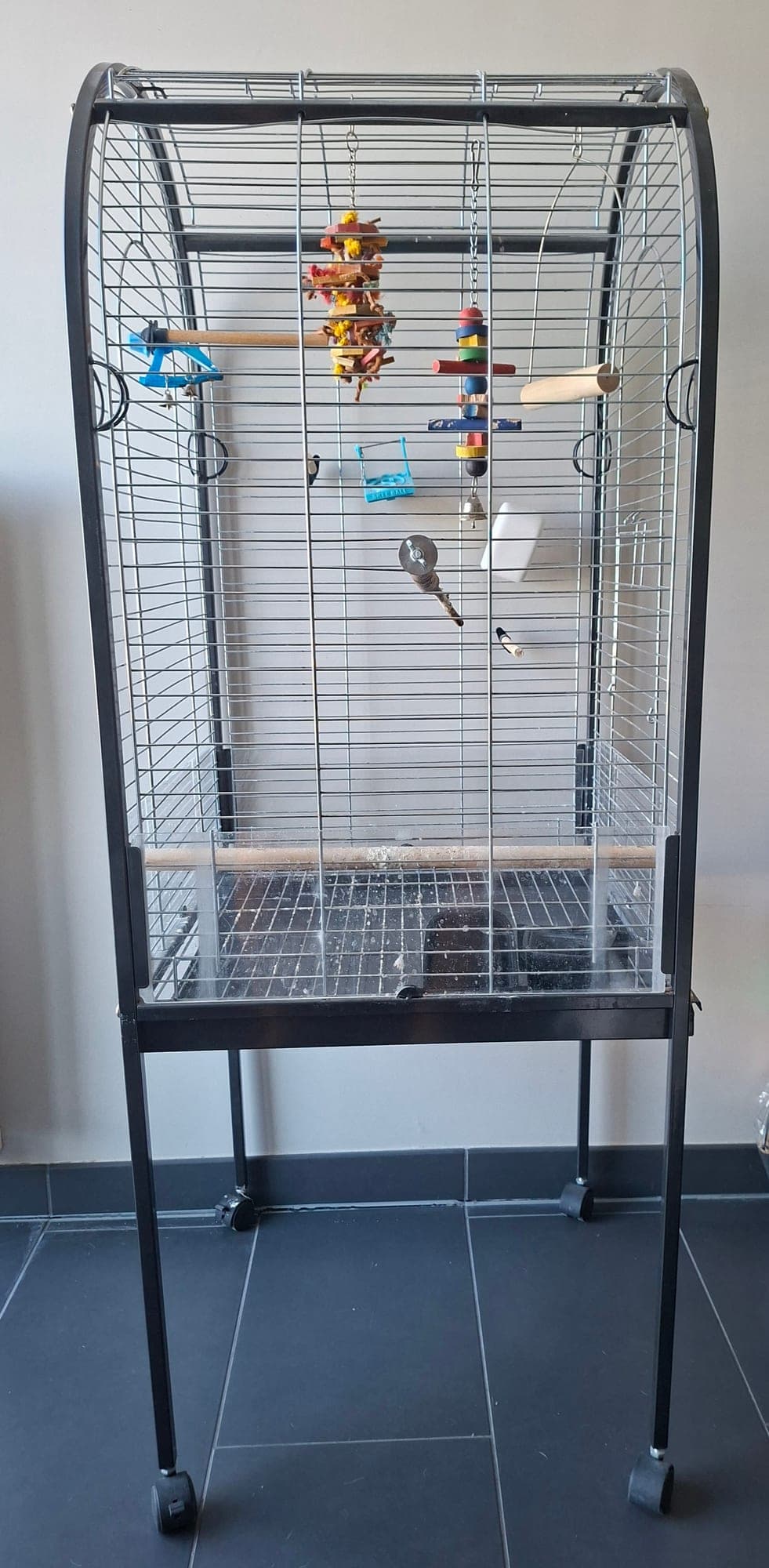 Grote, goede staat, vogelpapegaaikooi met open zitruimte en attributen