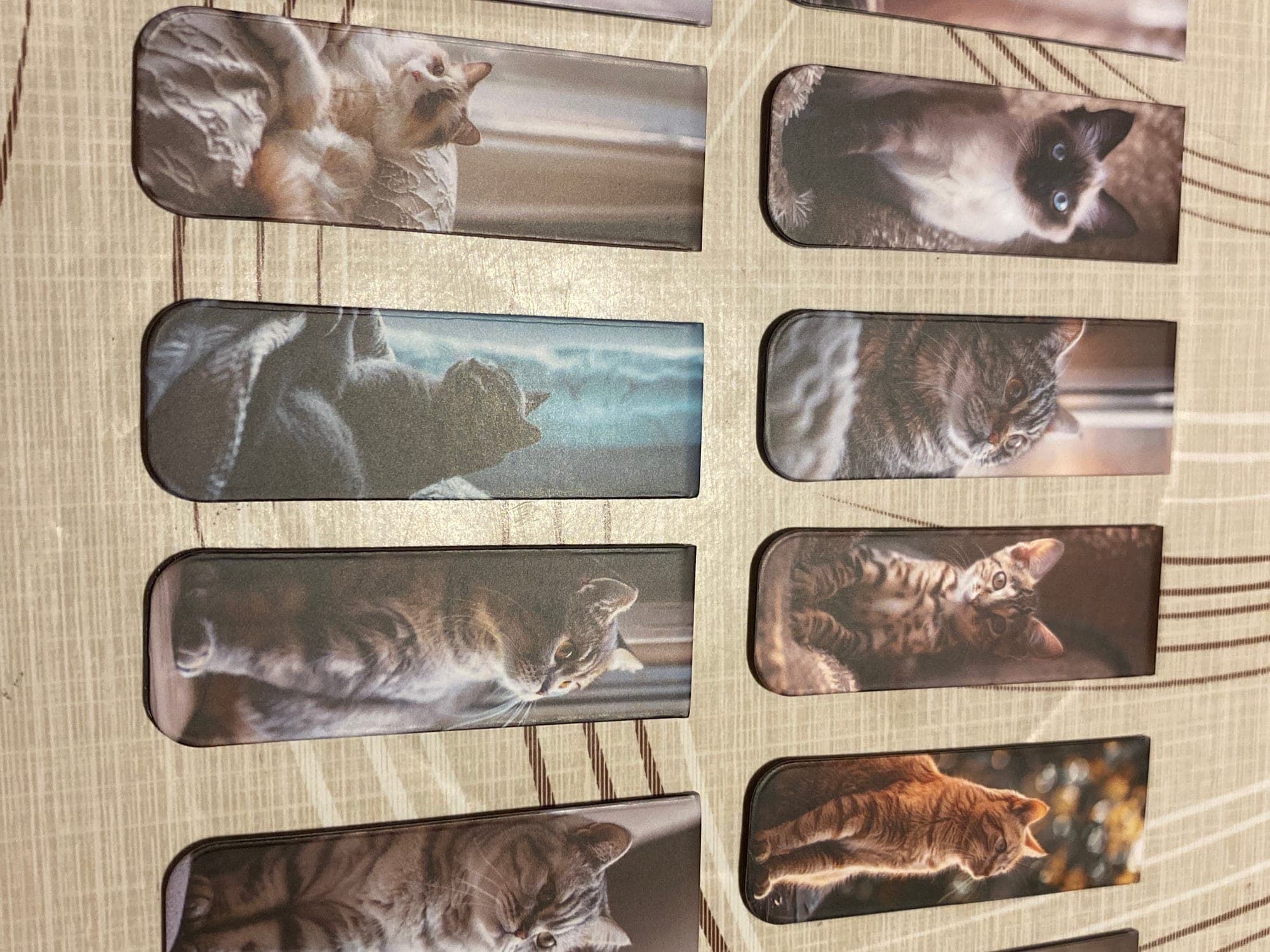 Set van 12 kattenmagneten met verschillende katten afbeeldingen