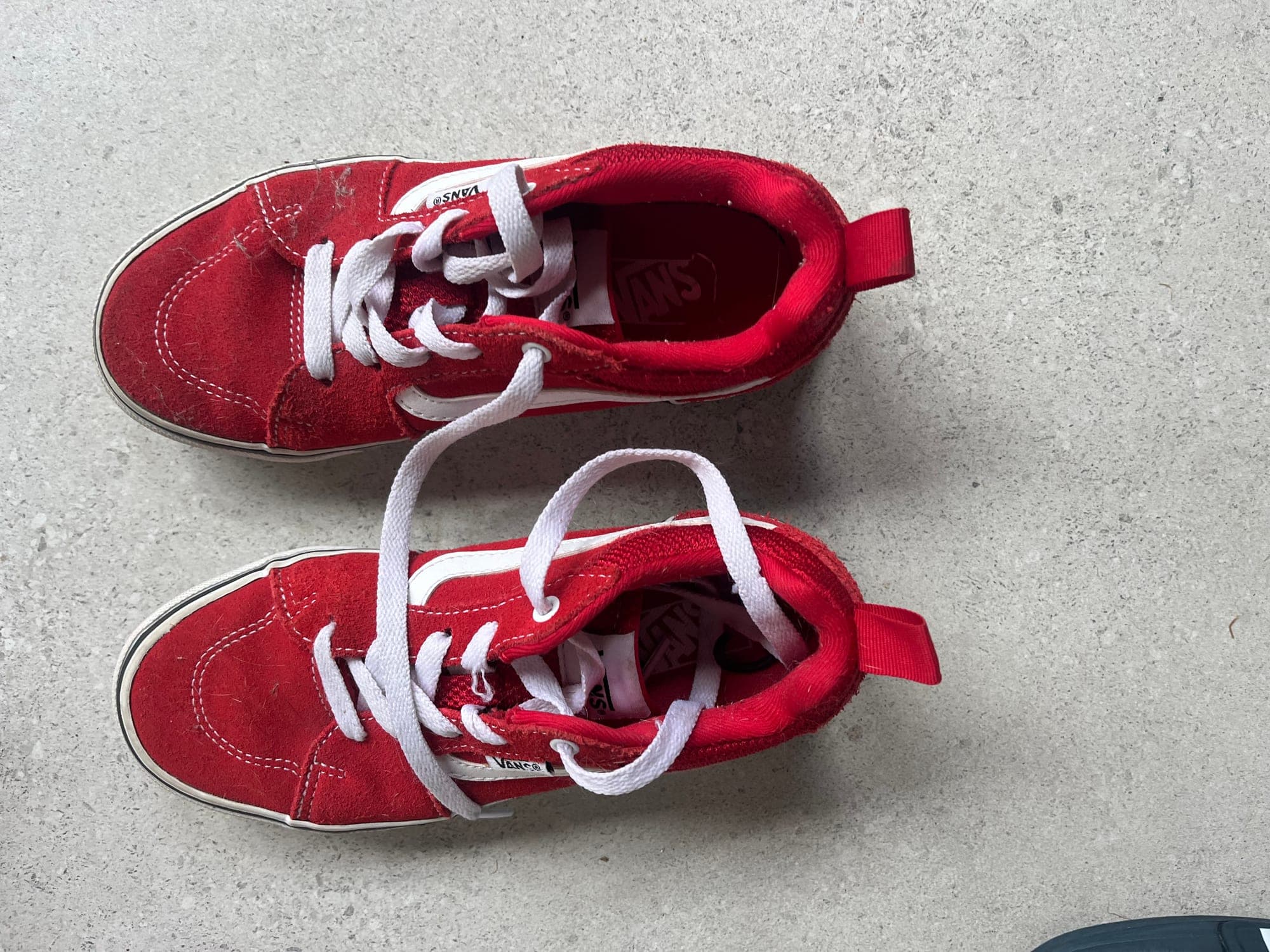 Vans SK8-Hi sneakers rood/wit maat 32