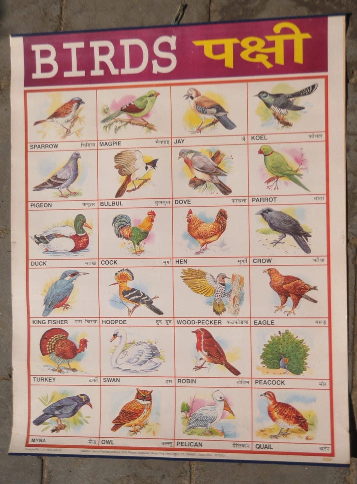 Schoolplaat vogels India 44x55cm