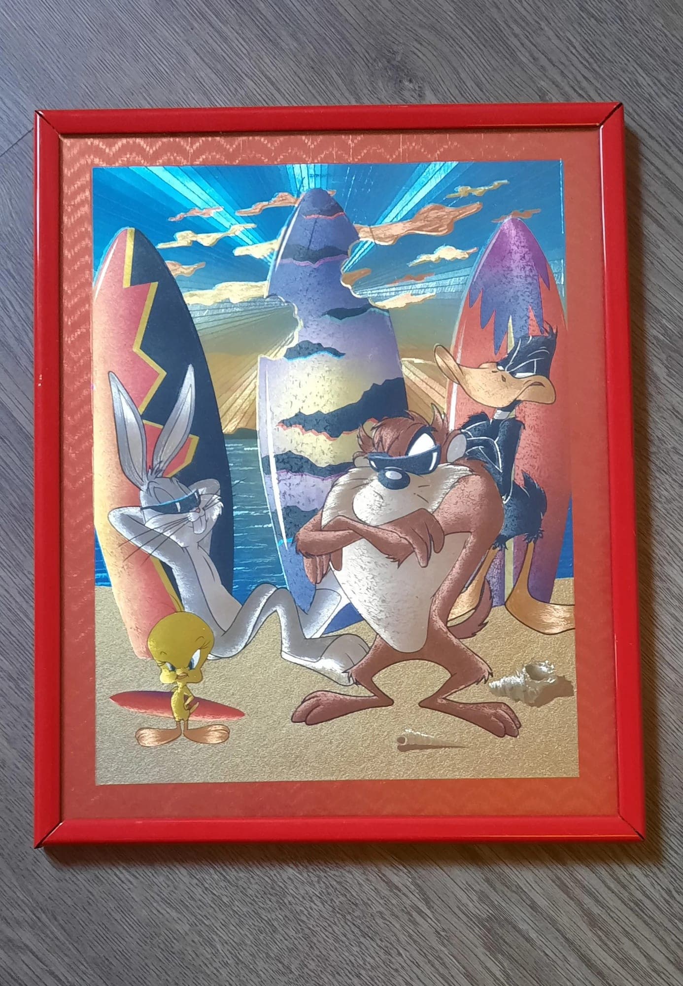 Looney Tunes kader - Beach & Surfen thema
