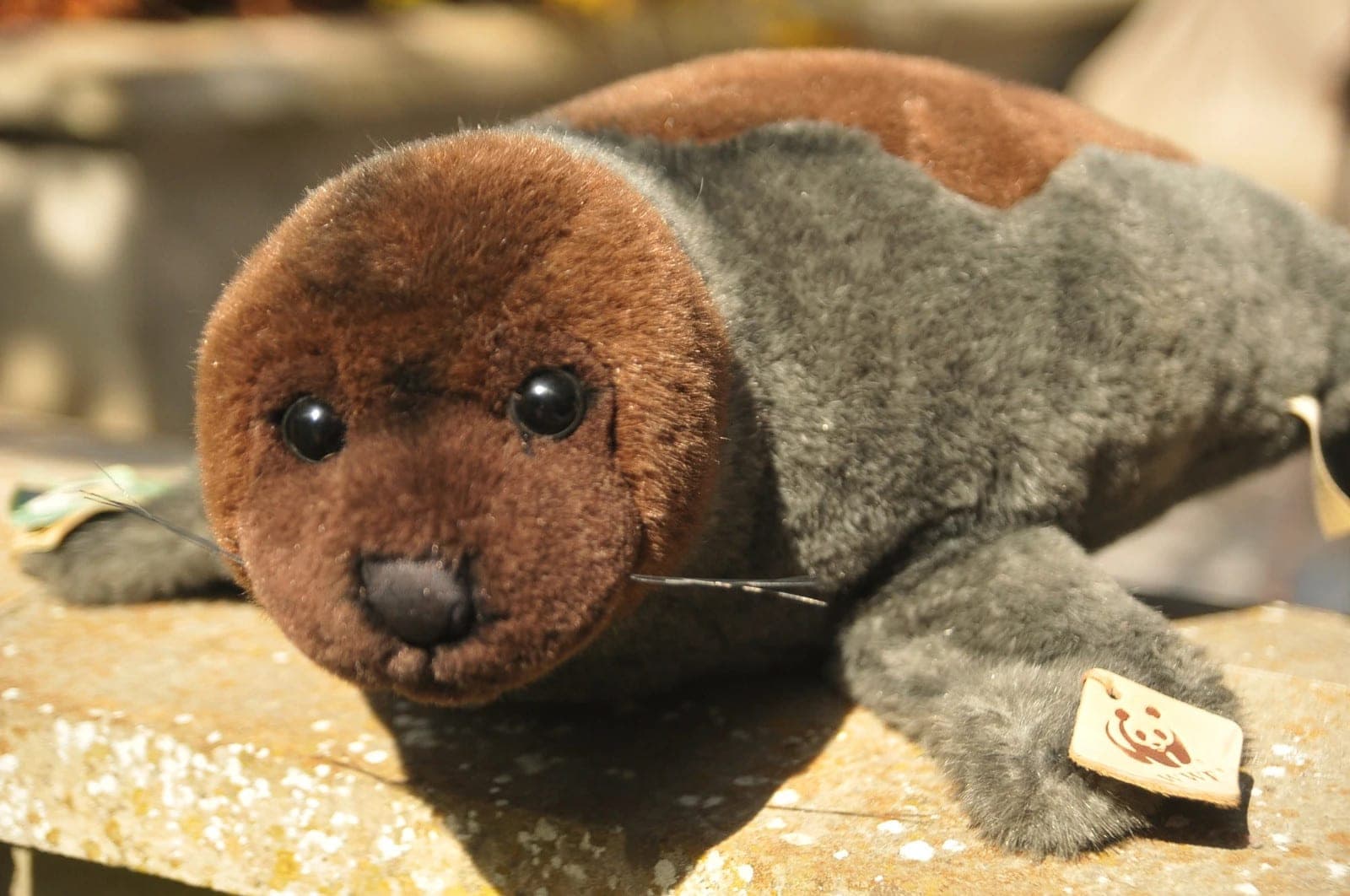 Knuffel zeehond WWF - nieuw
