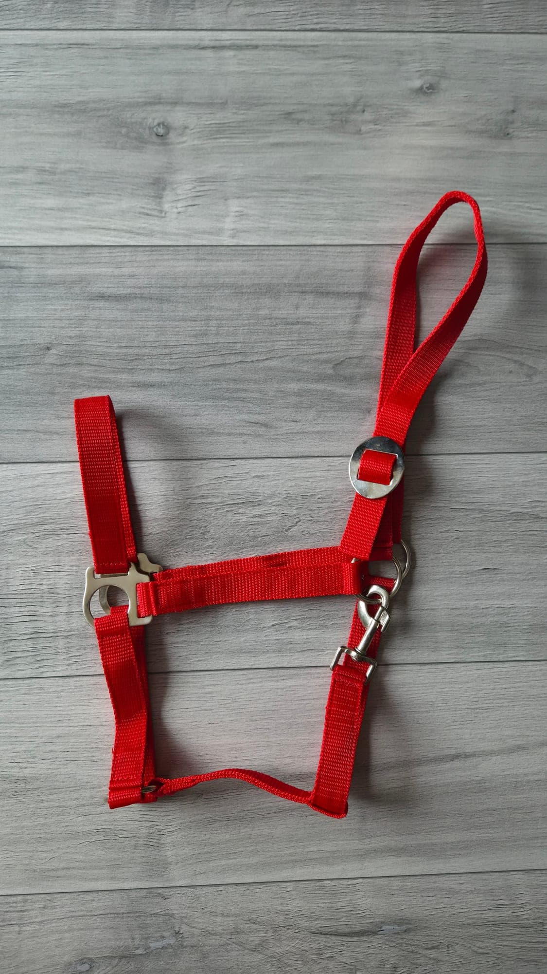 Licol rouge pour cheval
