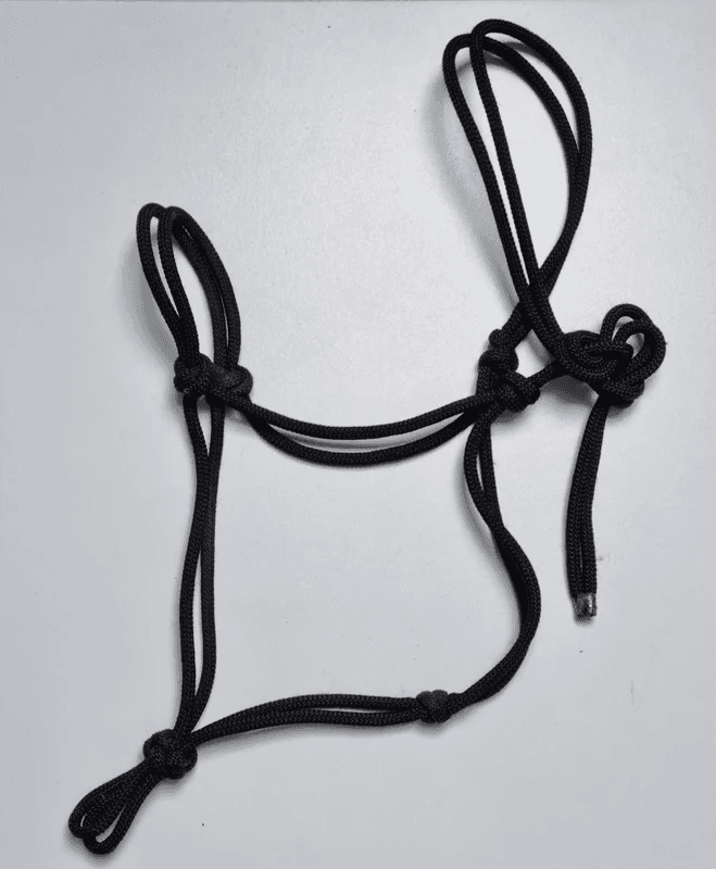 Licol en corde noir pour cheval