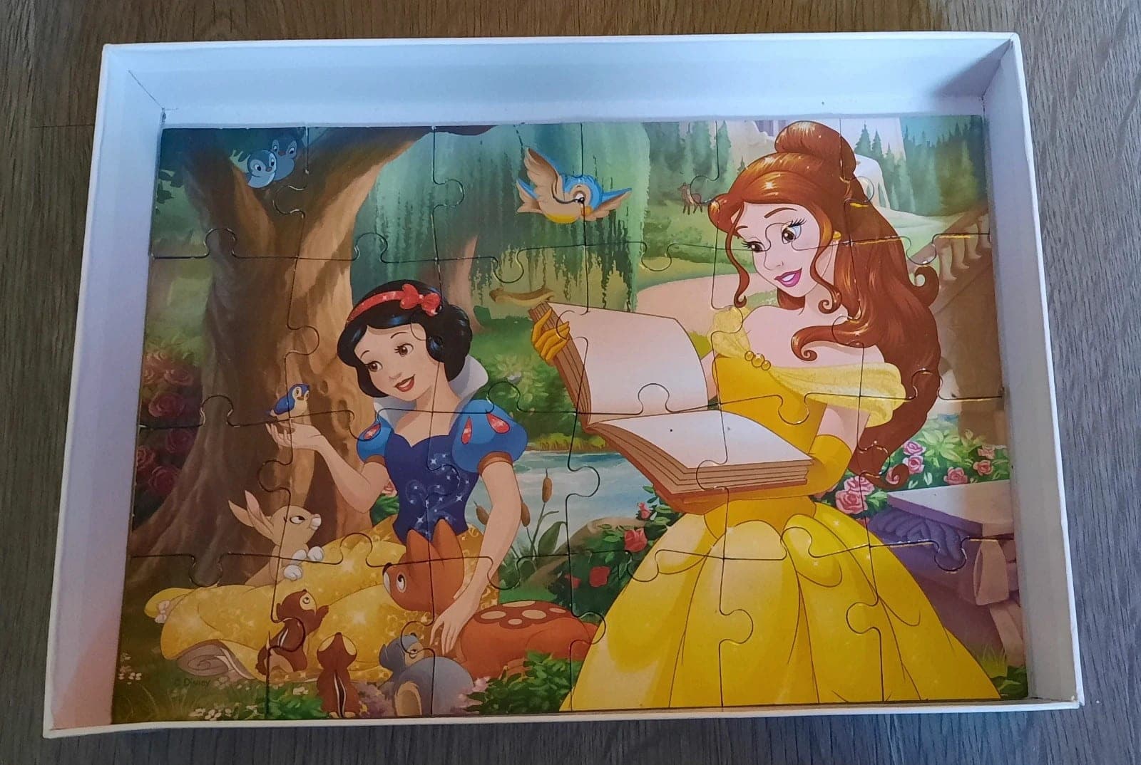 Disney prinses puzzel