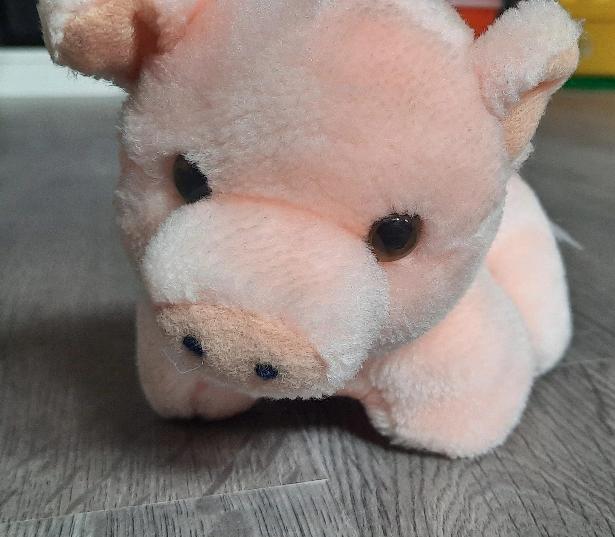 Schattige knuffel varken in goede staat
