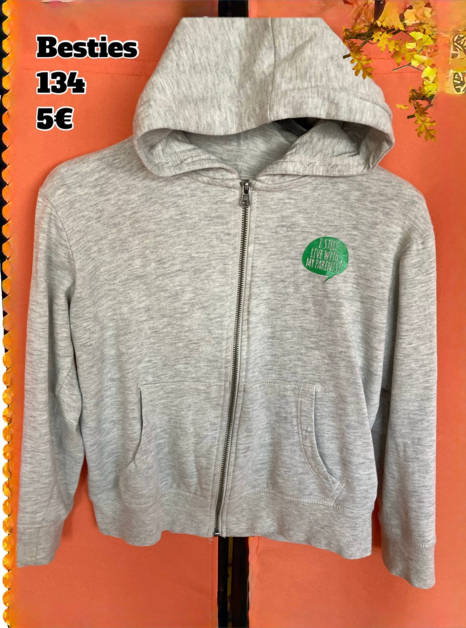 Besties grijze hoodie met groen tekstbadge maat 134